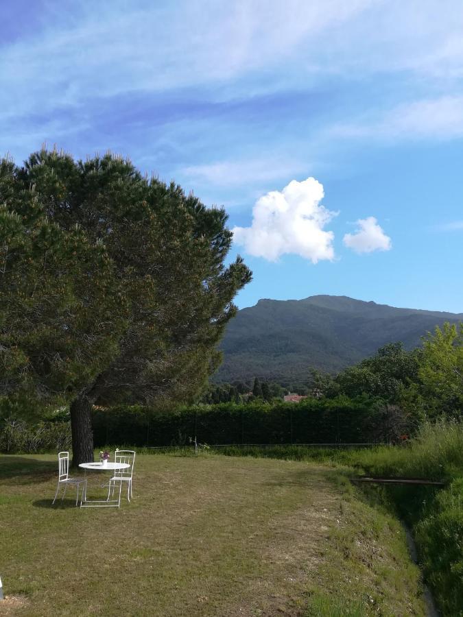 Laroque-des-Albères Le Quatorze 아파트 외부 사진